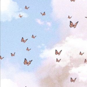 Meet your Posher, Annalise